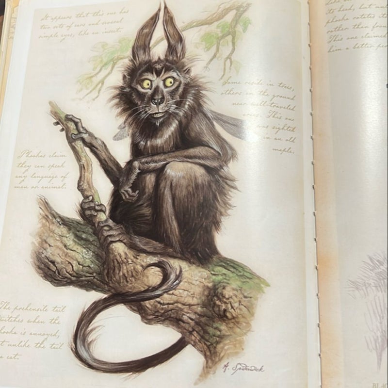 Arthur Spiderwick's Field Guide to the Fantastical World Around You