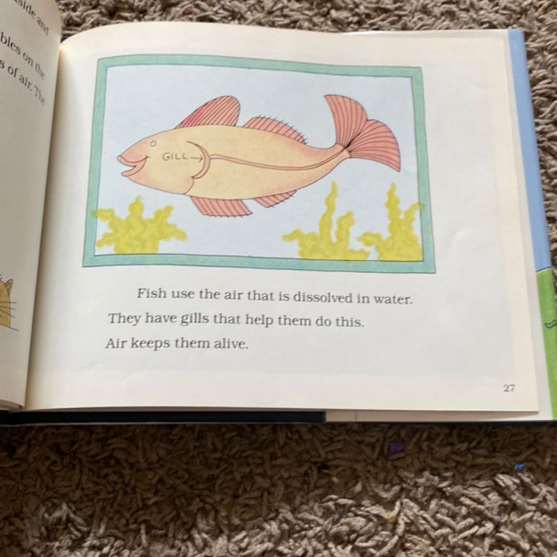 Air Is All Around You