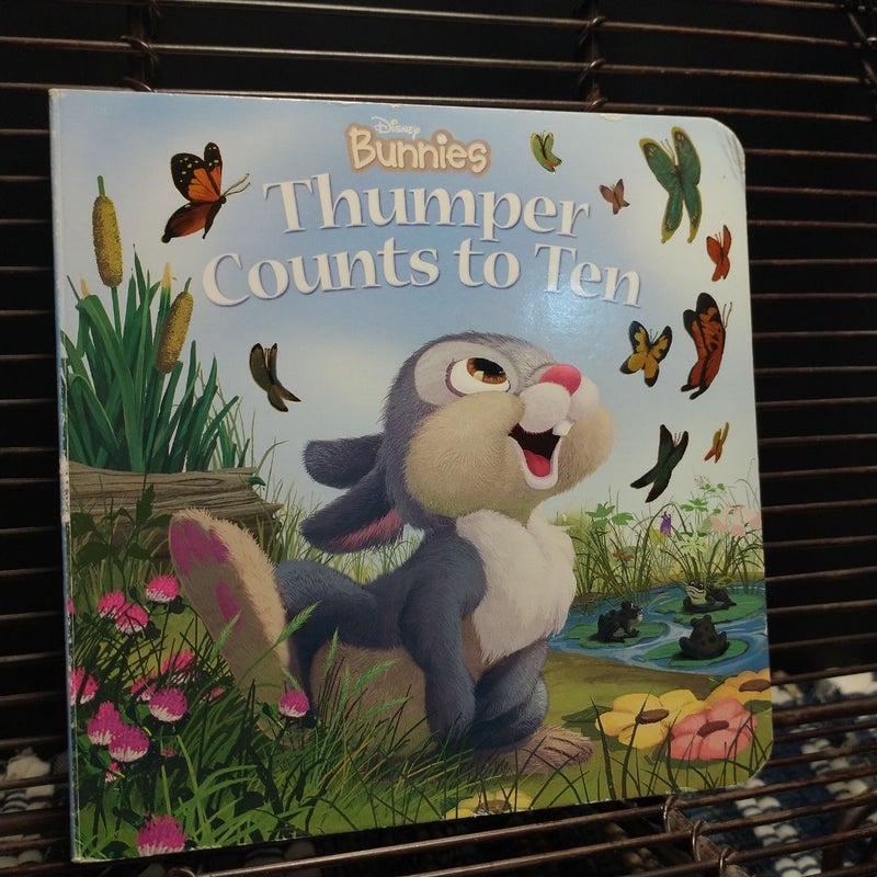 Disney Bunnies Thumper Counts to Ten