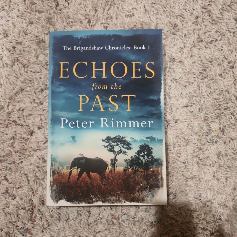 Echoes from the Past