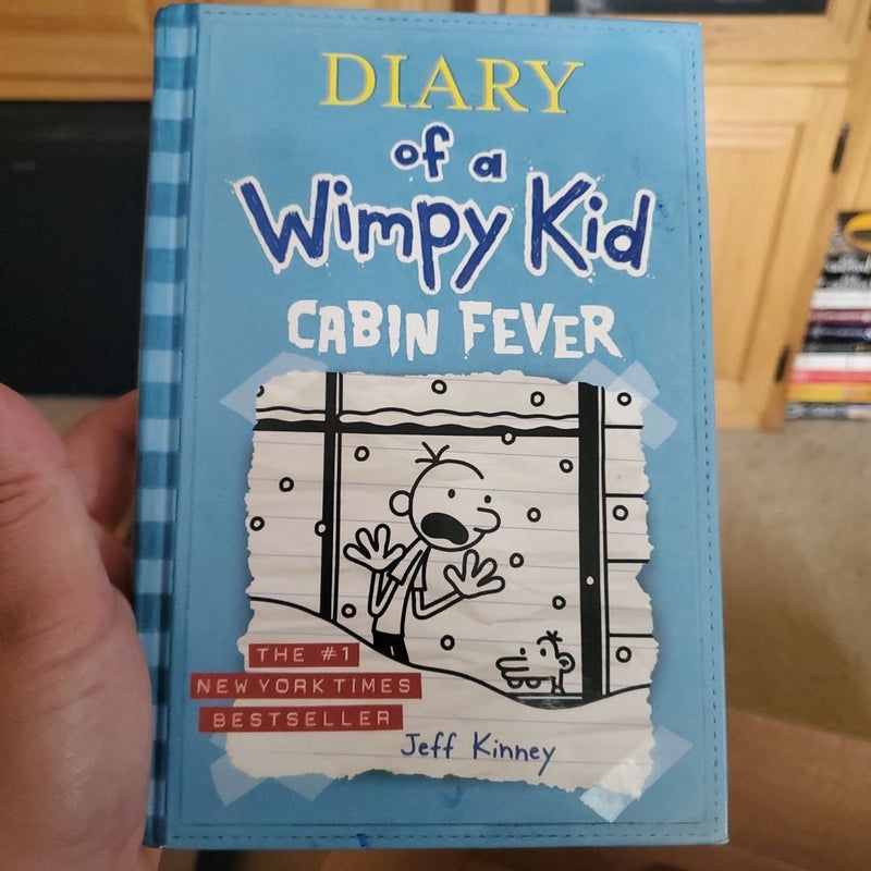 Diary of a Wimpy Kid # 6