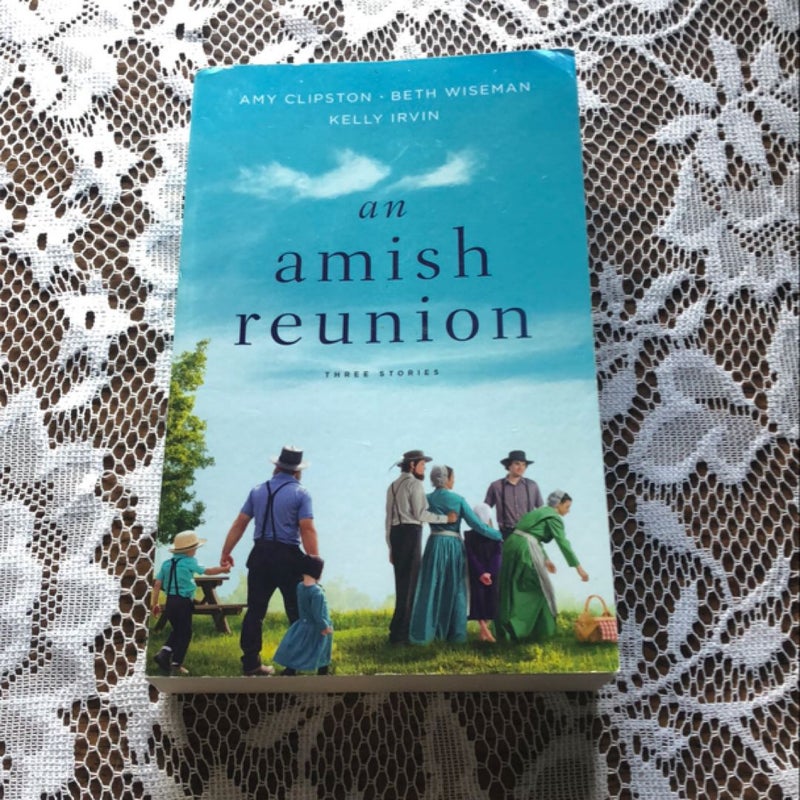 An Amish Reunion