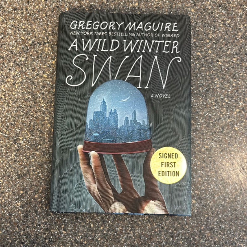 A Wild Winter Swan