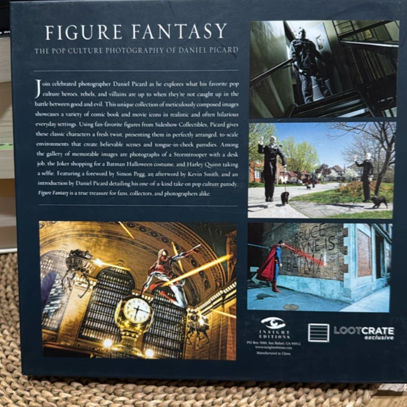 Figure Fantasy 
