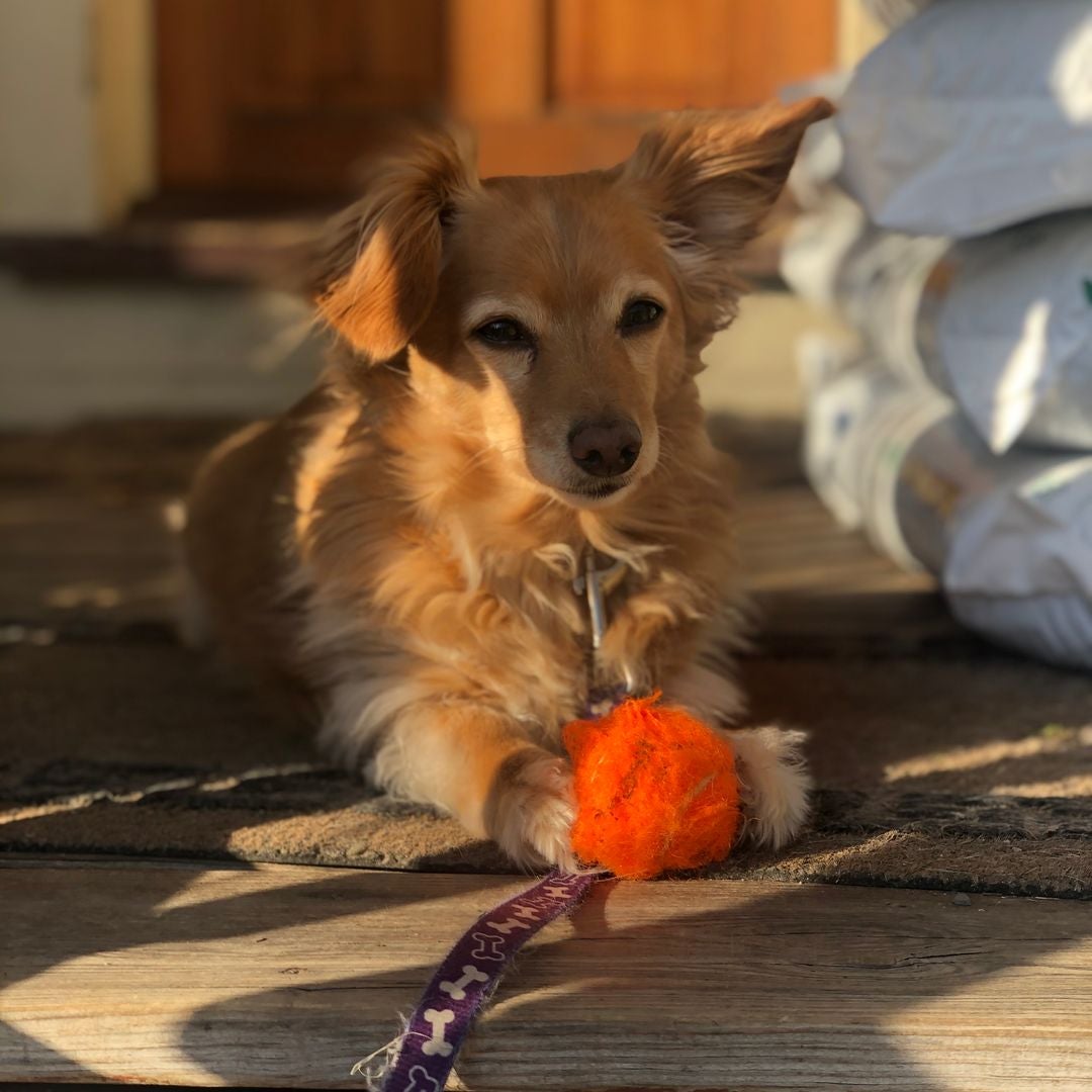 Skye