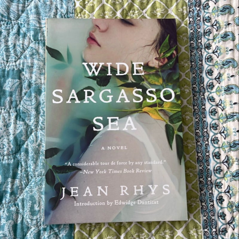 Wide Sargasso Sea