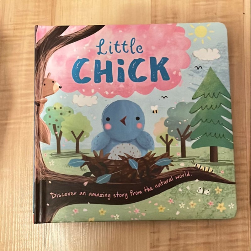 Nature Stories: Little Chick-Discover an Amazing Story from the Natural World