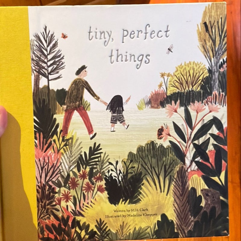 tiny, perfect things 