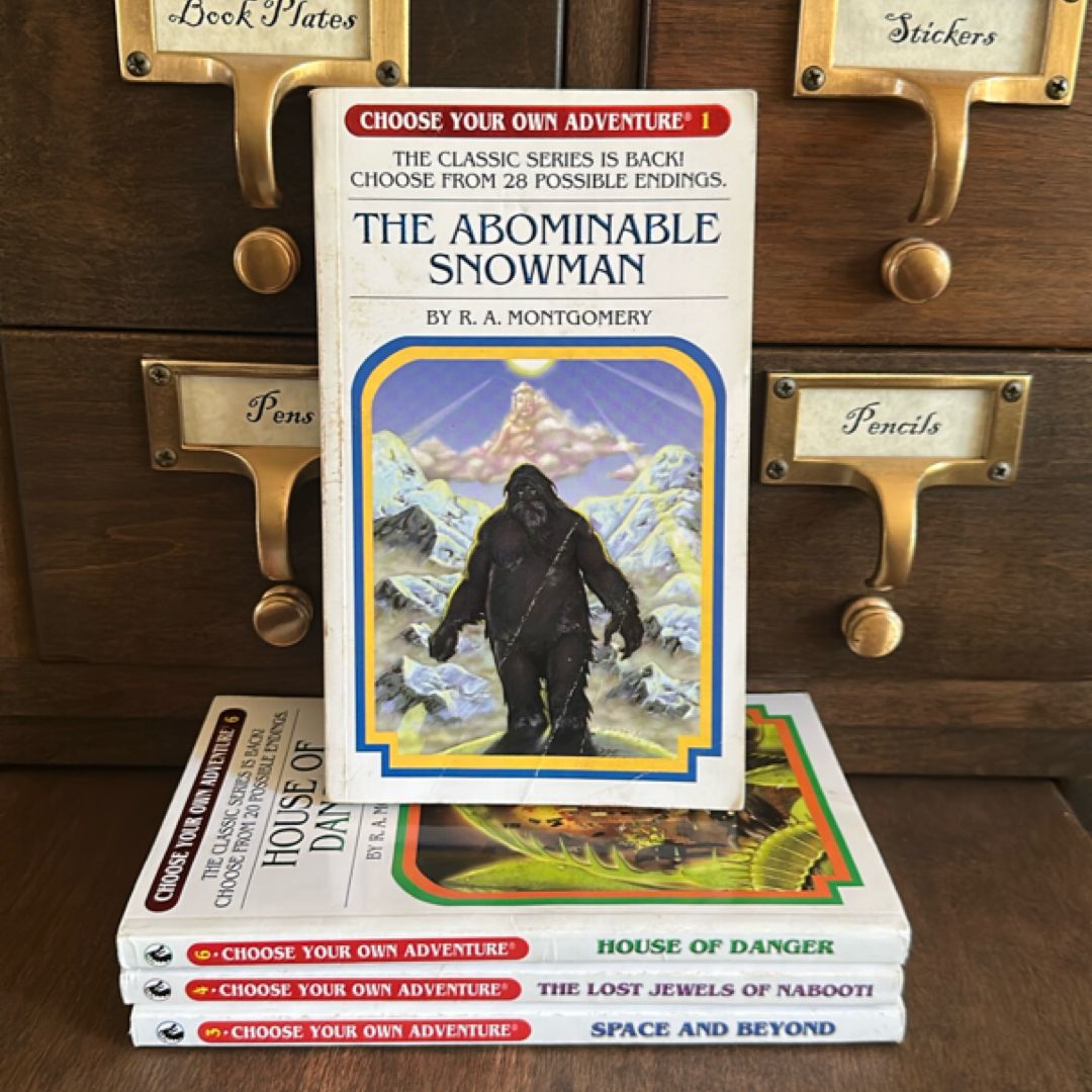 Choose Your Own Adventure bundle