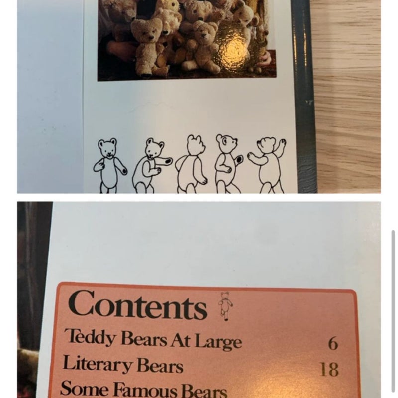 The Teddy Bear Story - By Jose Keyes - Vintage Book