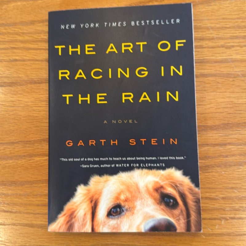 The Art of Racing in the Rain