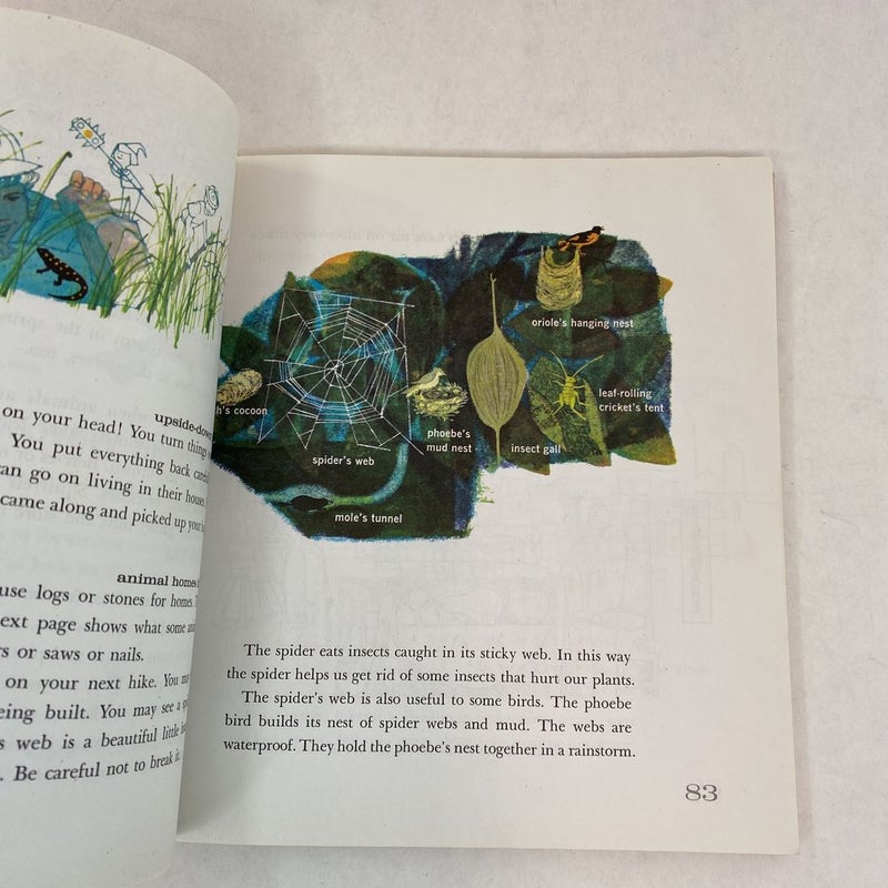 Brownie Girl Scout Handbook