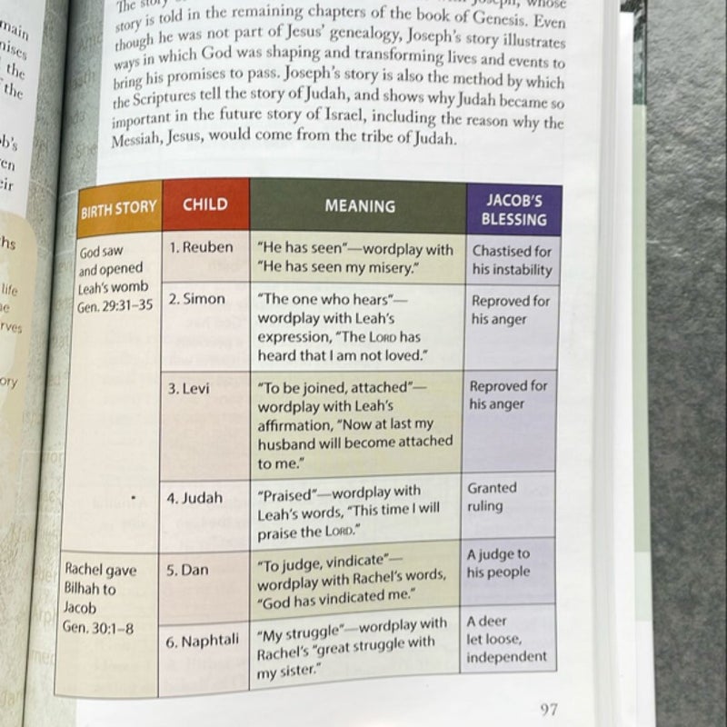 Essential Guide to the Genealogy of Jesus