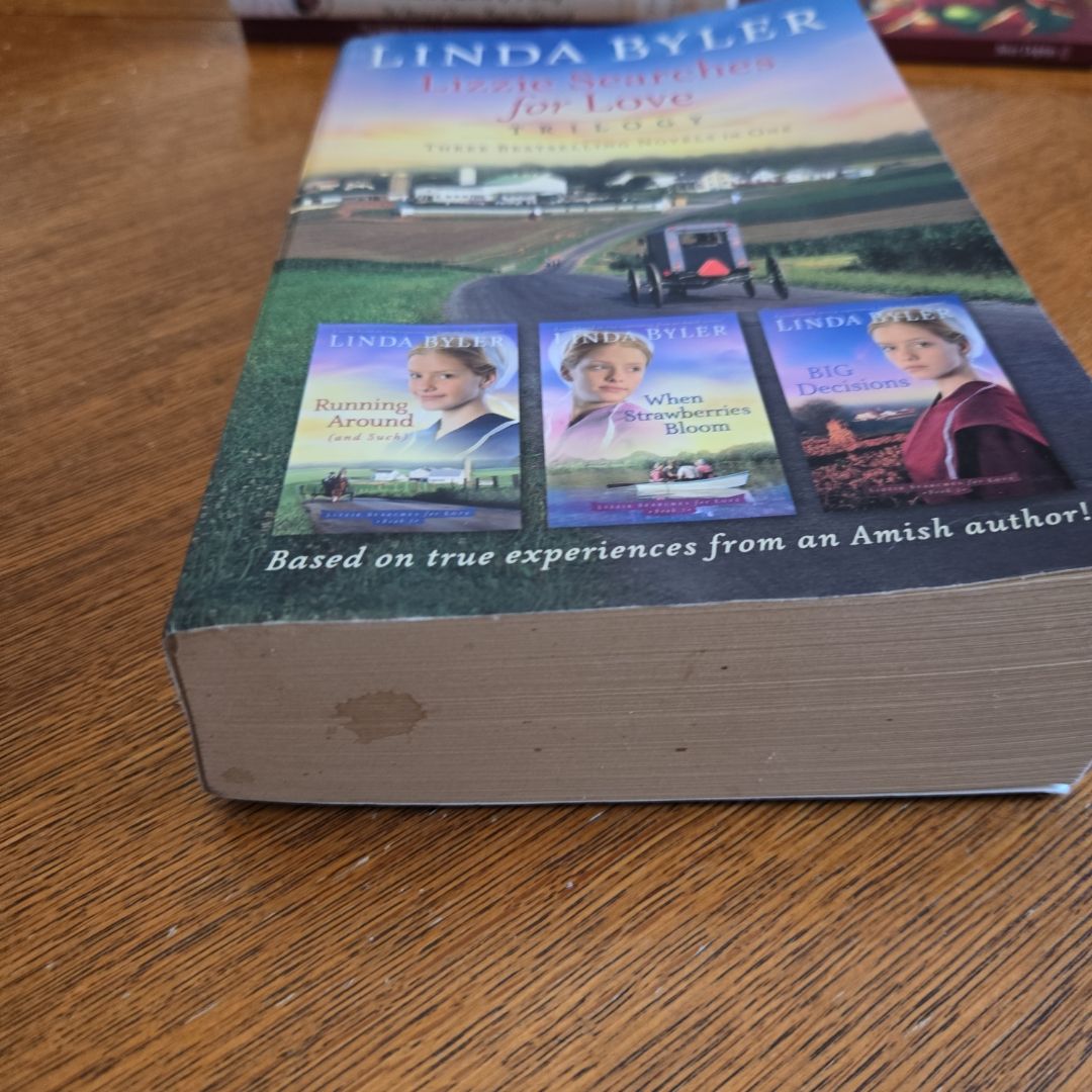 Lizzie Searches for Love Trilogy by Linda Byler