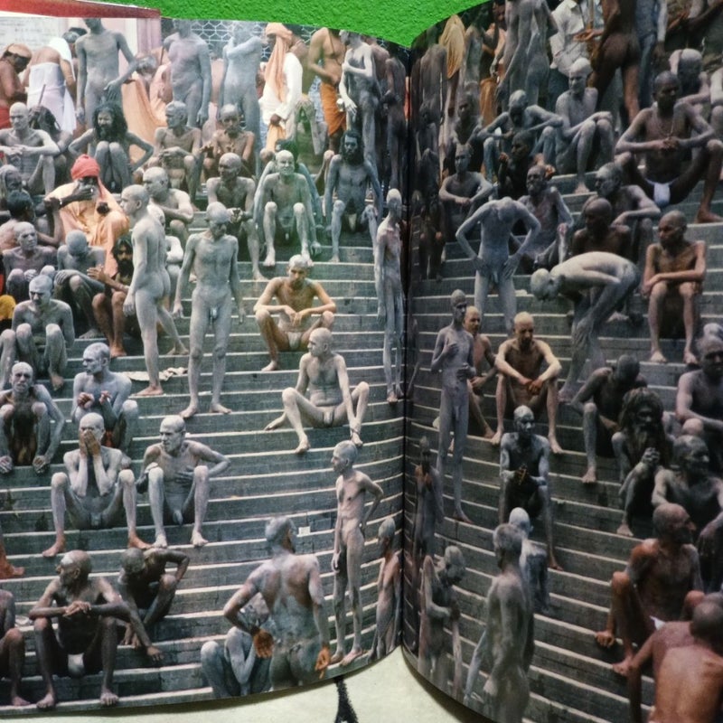 The Circle of Life - First Edition (Printing 1)
