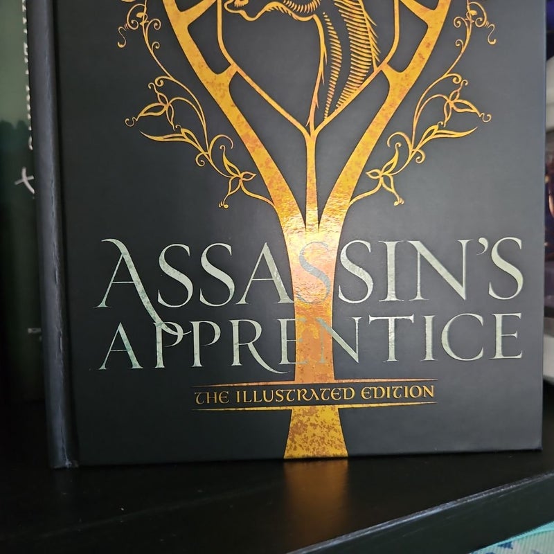 Assassin's Apprentice (the Illustrated Edition)