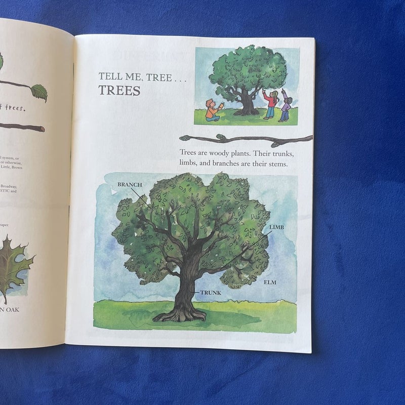 Tell me, Tree