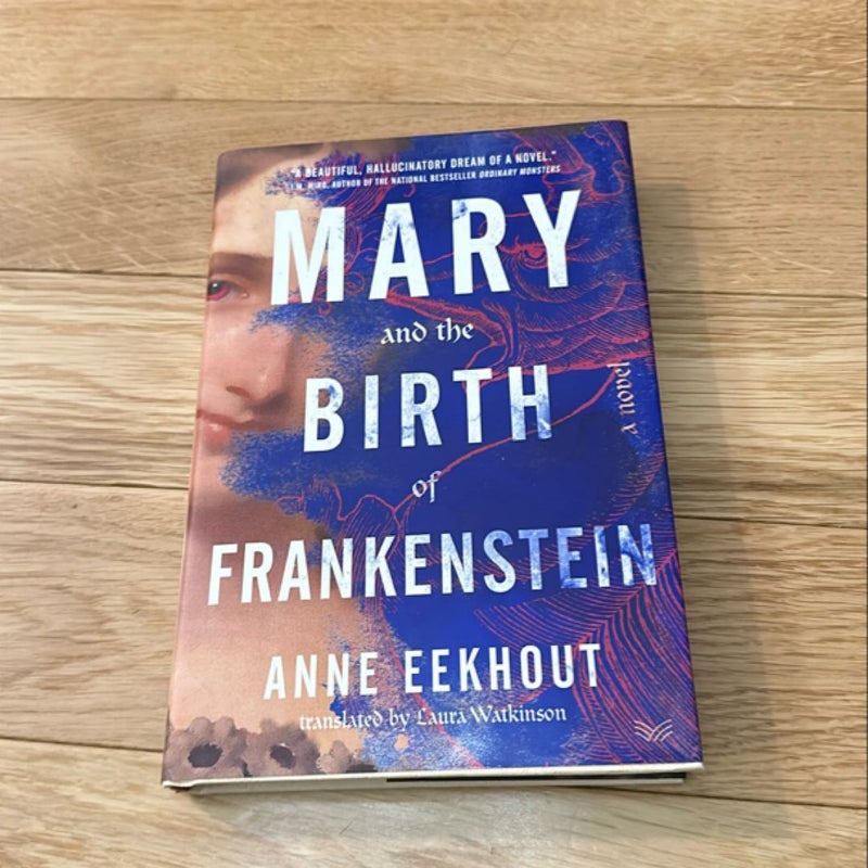 Mary and the Birth of Frankenstein