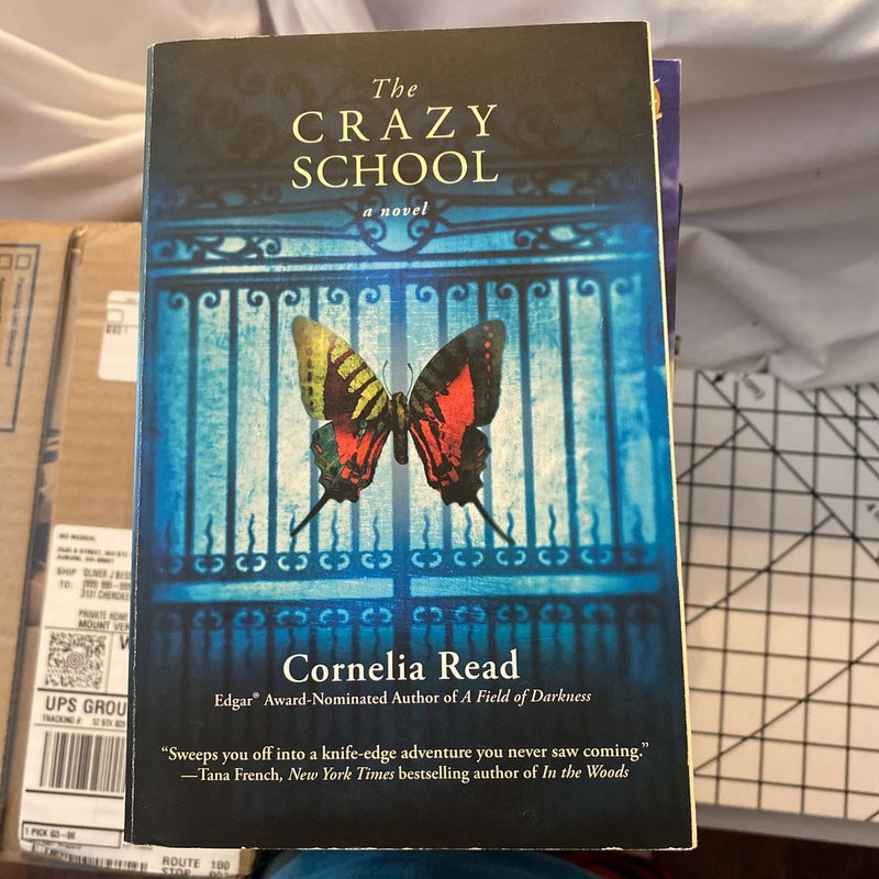 The Crazy School