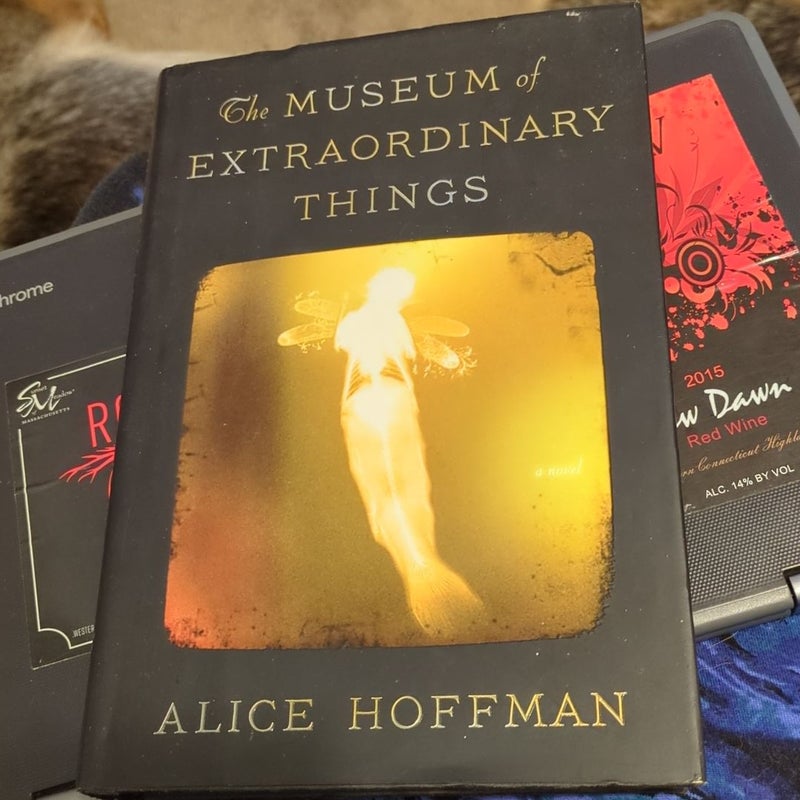 The Museum of Extraordinary Things