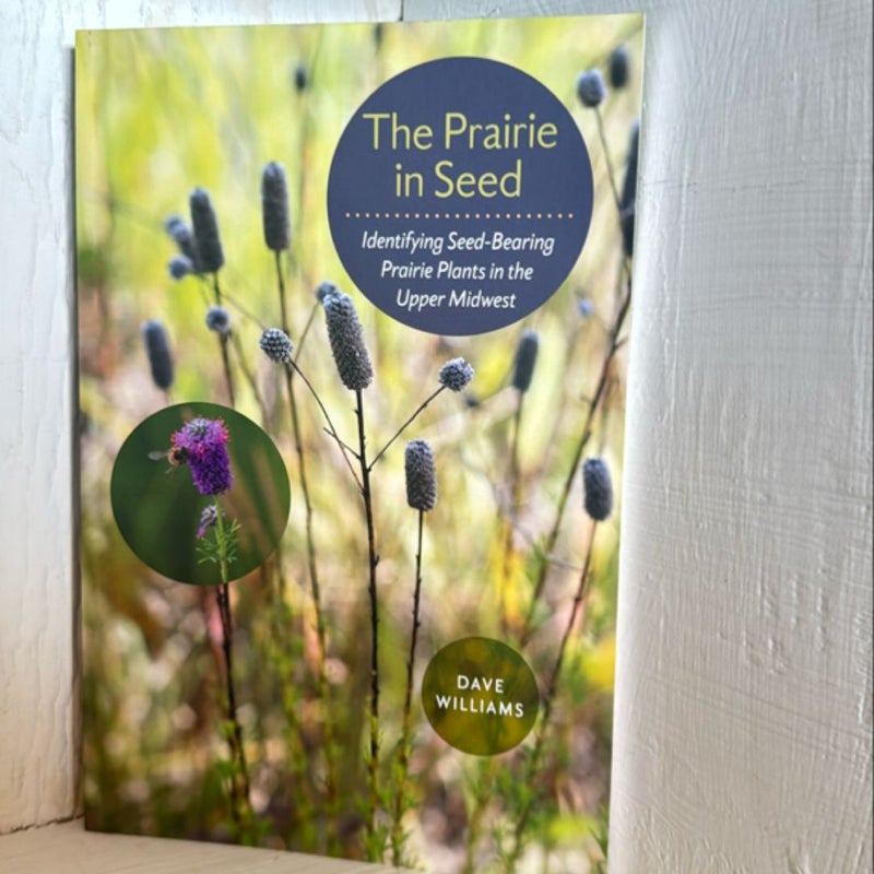 The Prairie in Seed