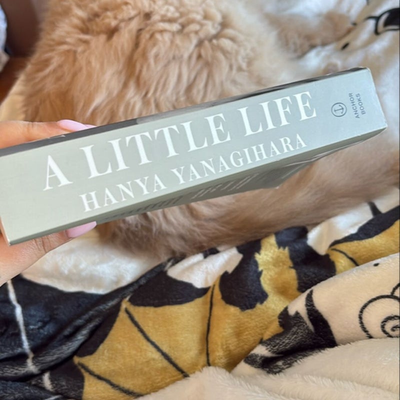 A Little Life