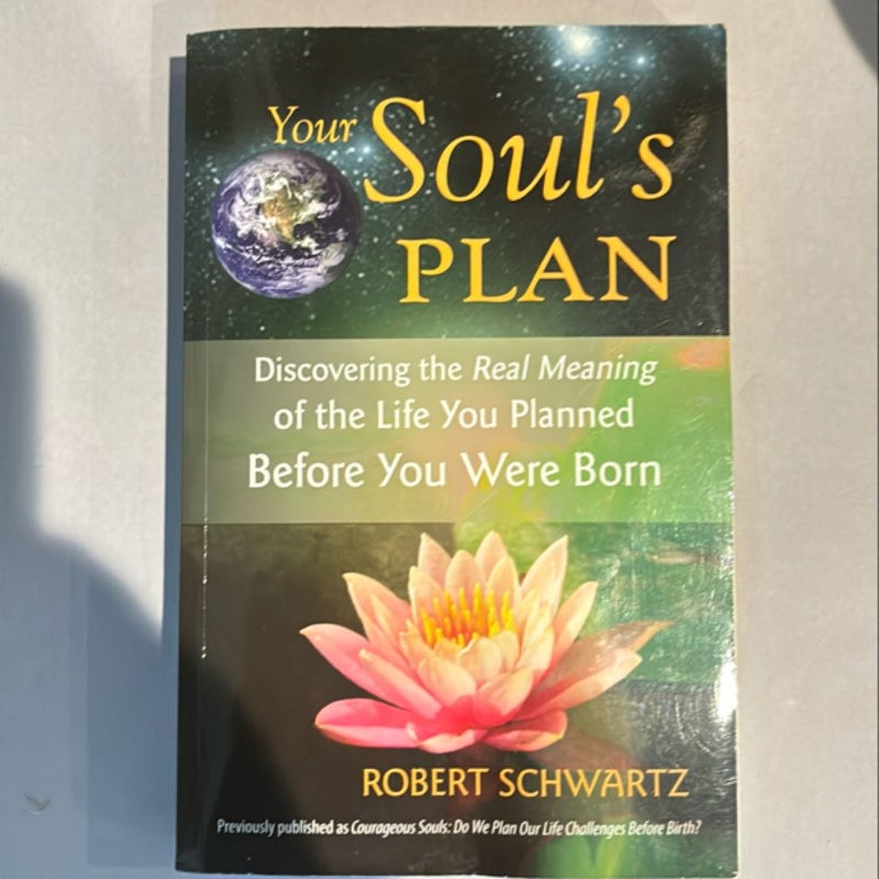 Your Soul's Plan