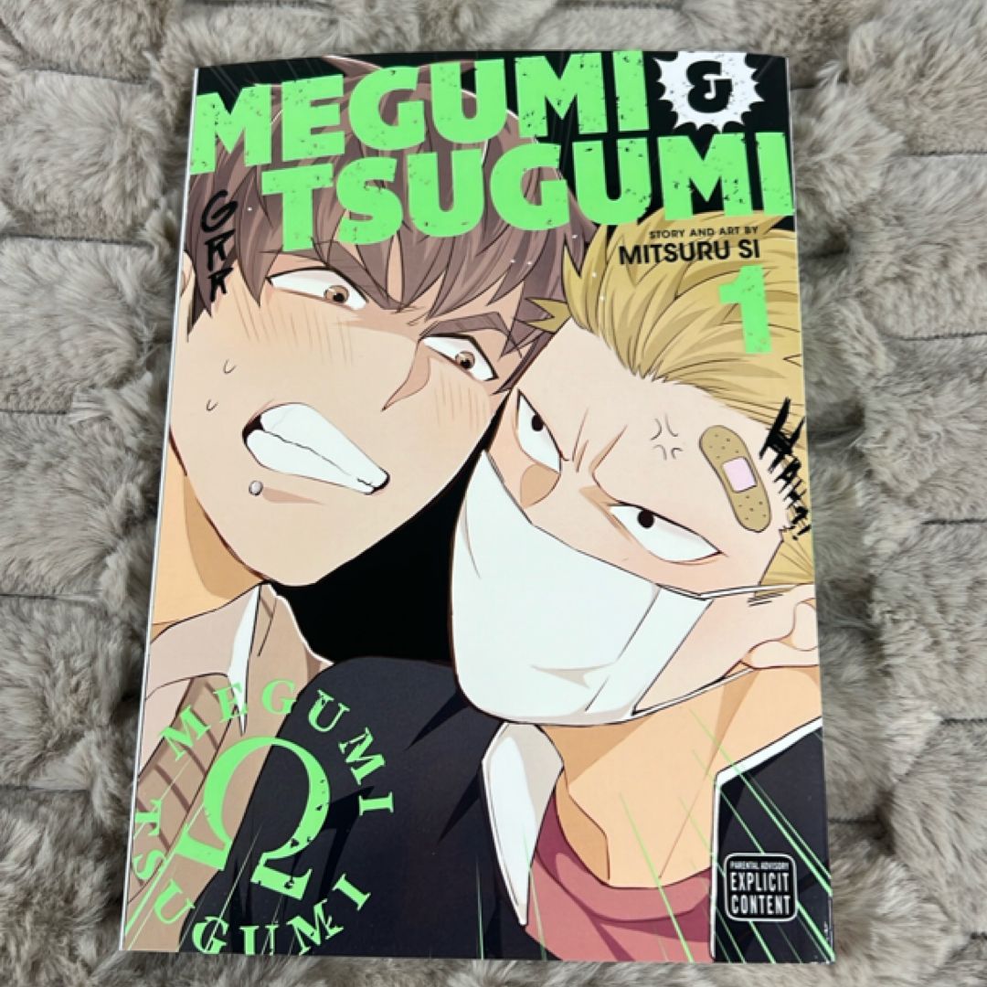 Megumi and Tsugumi, Vol. 1