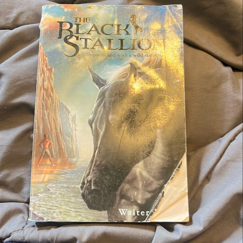The Black Stallion