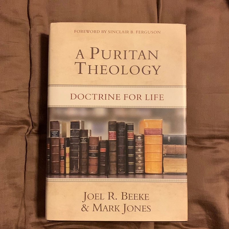 A Puritan Theology