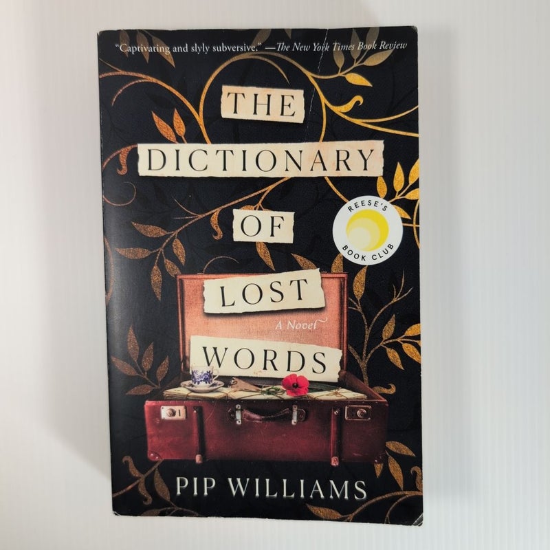 The Dictionary of Lost Words