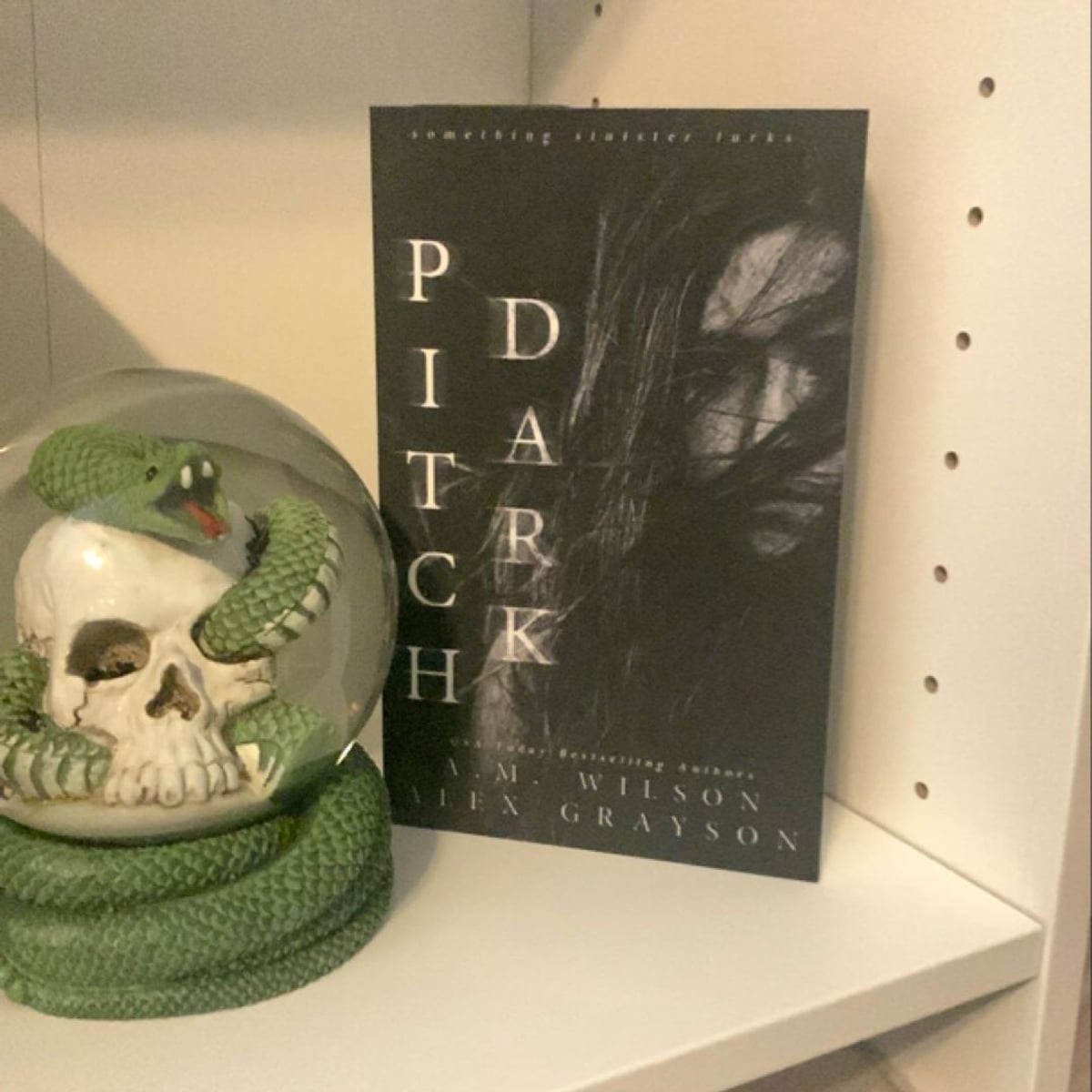 Pitch Dark by A. M. Wilson, Paperback Pangobooks