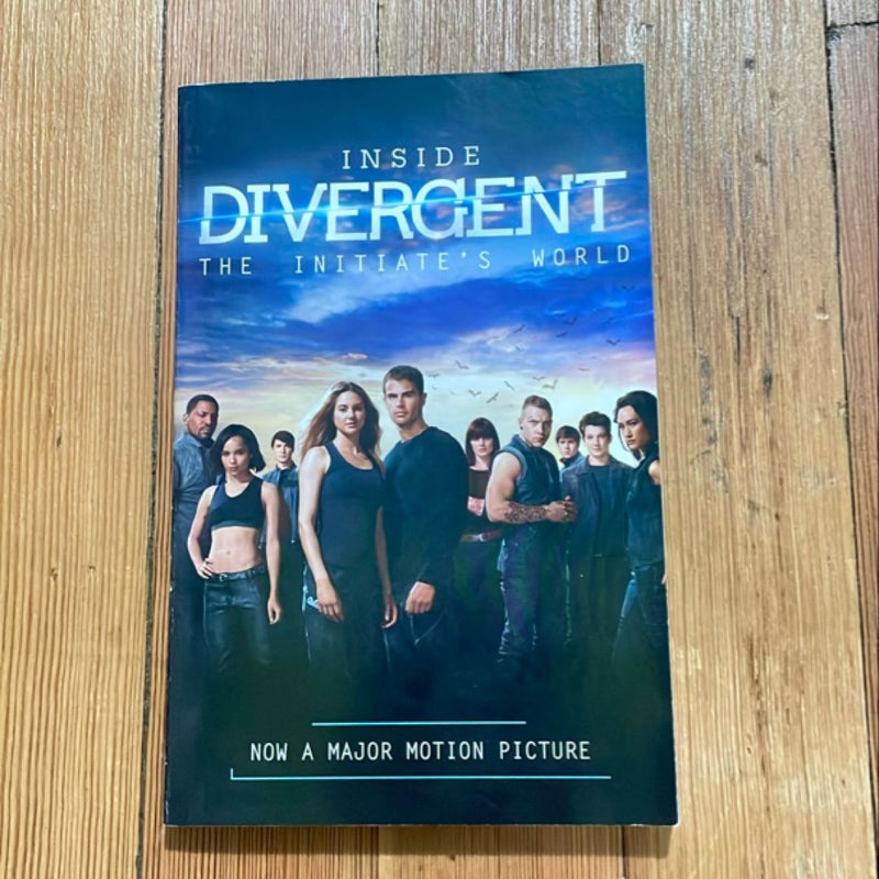 Inside Divergent: the Initiate's World