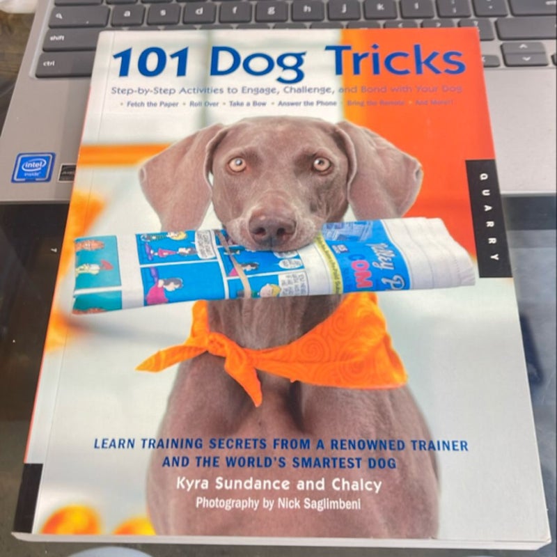 101 Dog Tricks