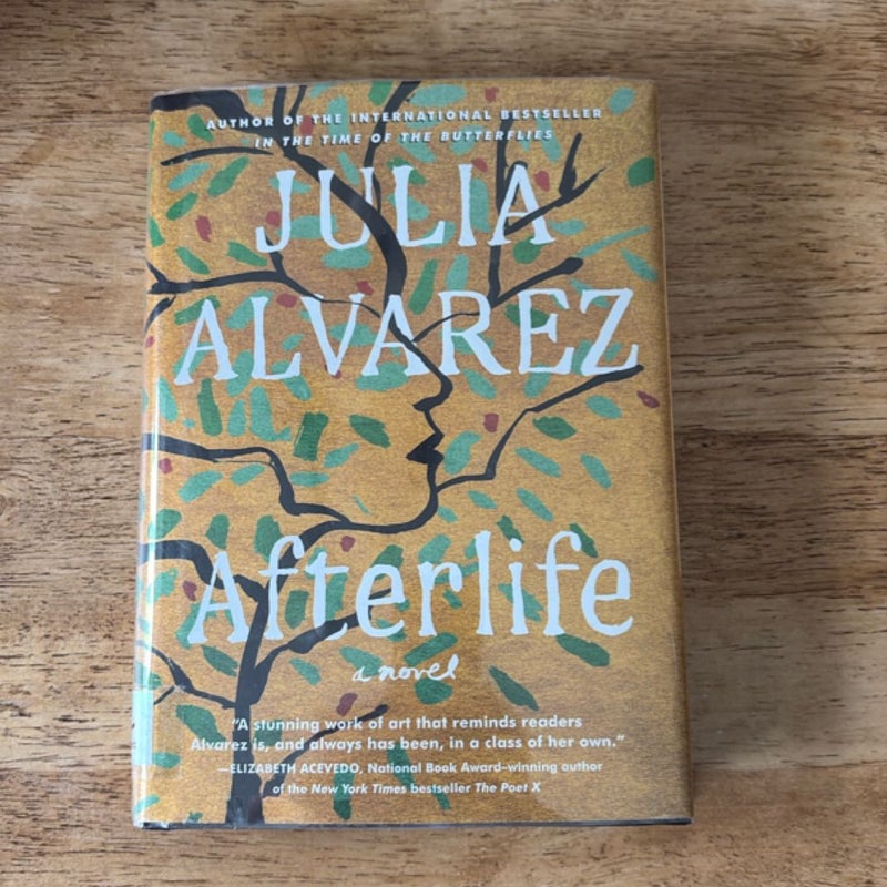 Afterlife
