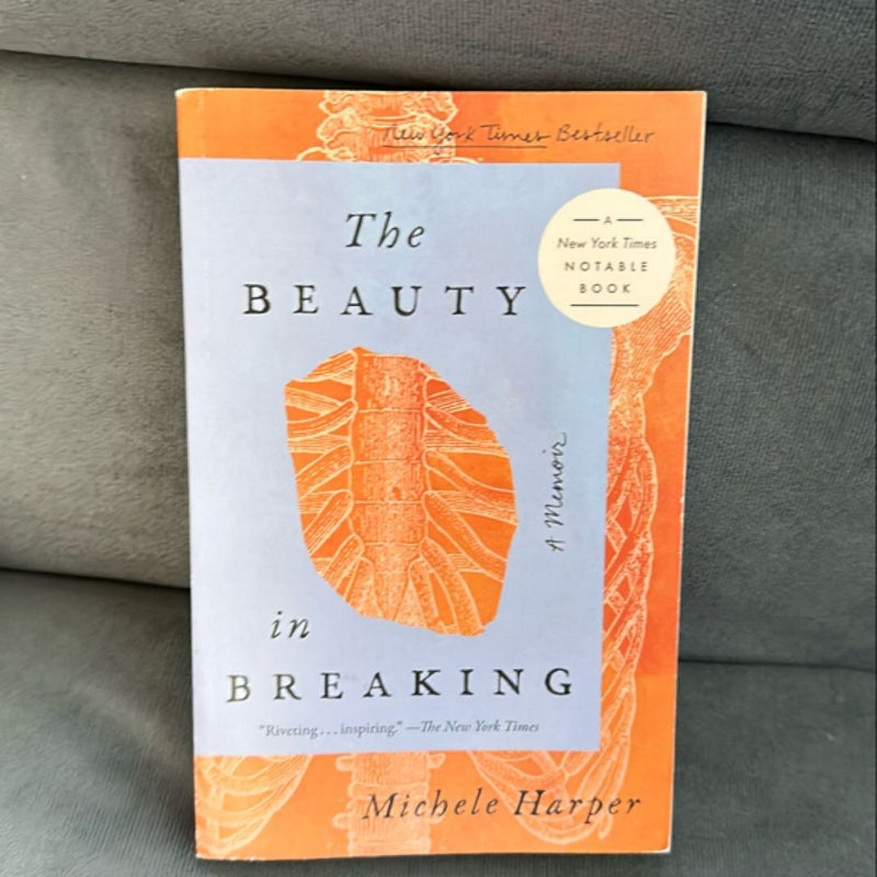 The Beauty in Breaking