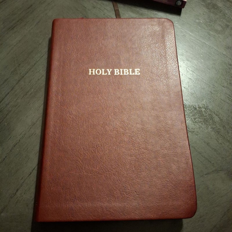 Holy Bible 