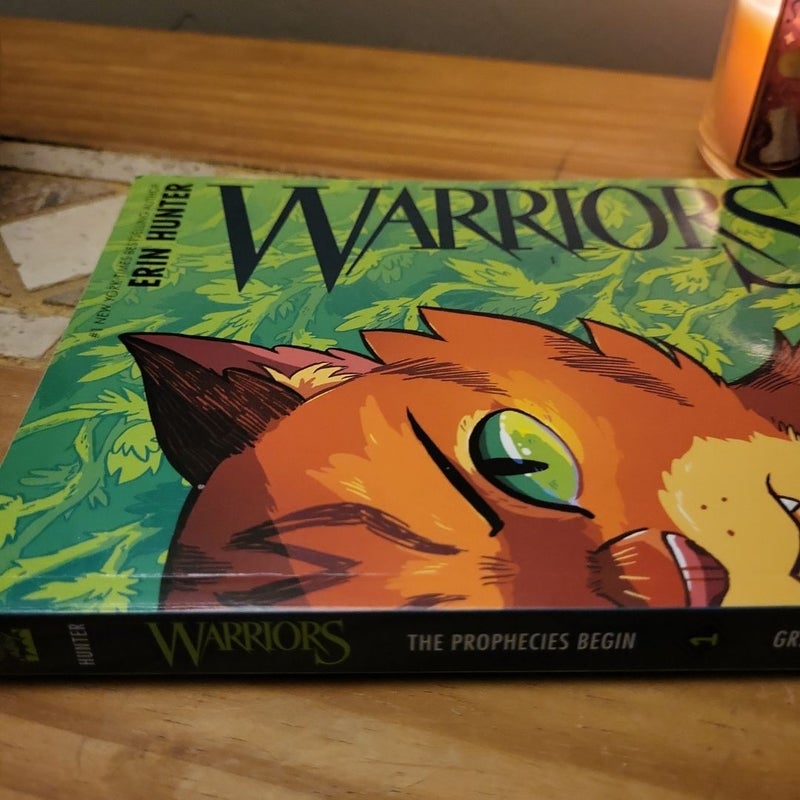 Warriors Graphic Novel: the Prophecies Begin #1