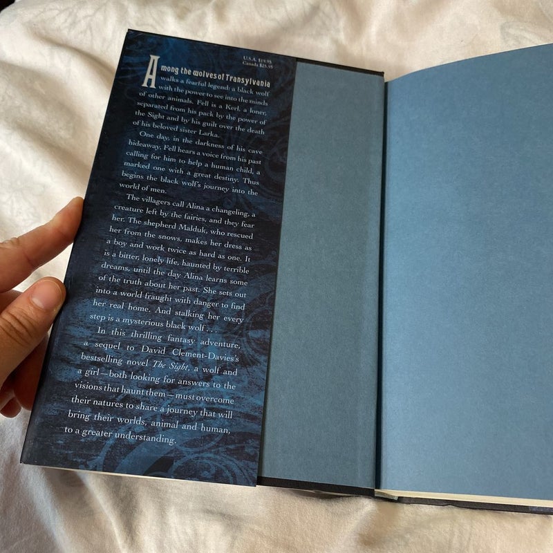 Fell by David ClementDavies, Hardcover Pangobooks