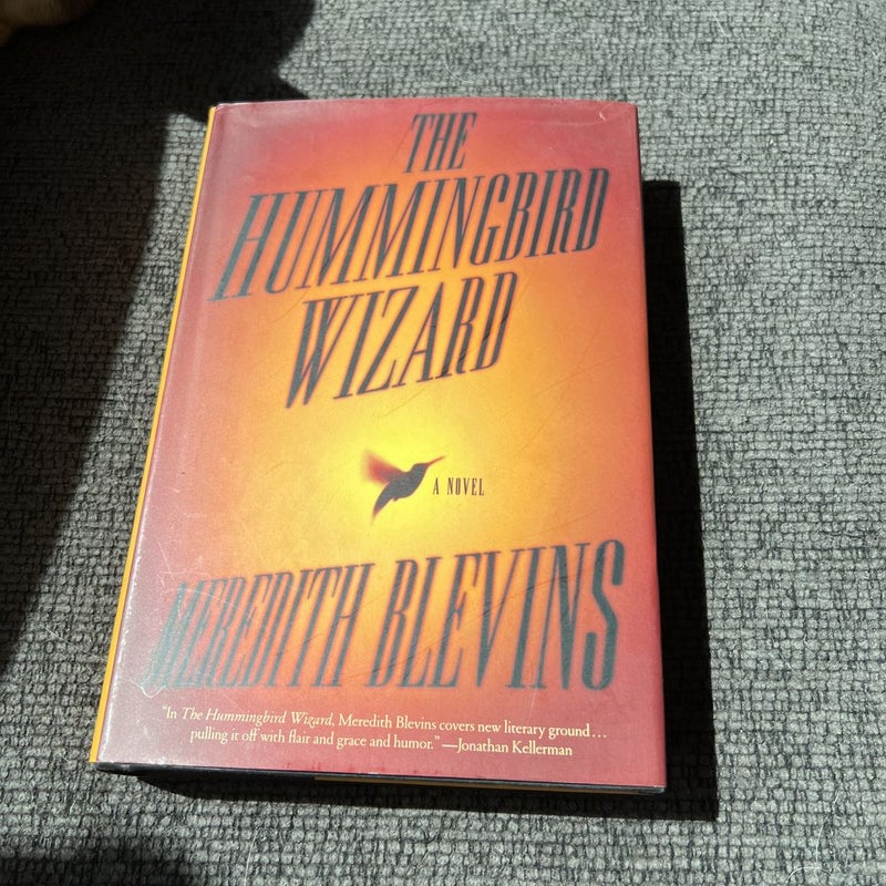 The Hummingbird Wizard