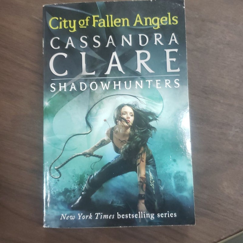 City of Fallen Angels