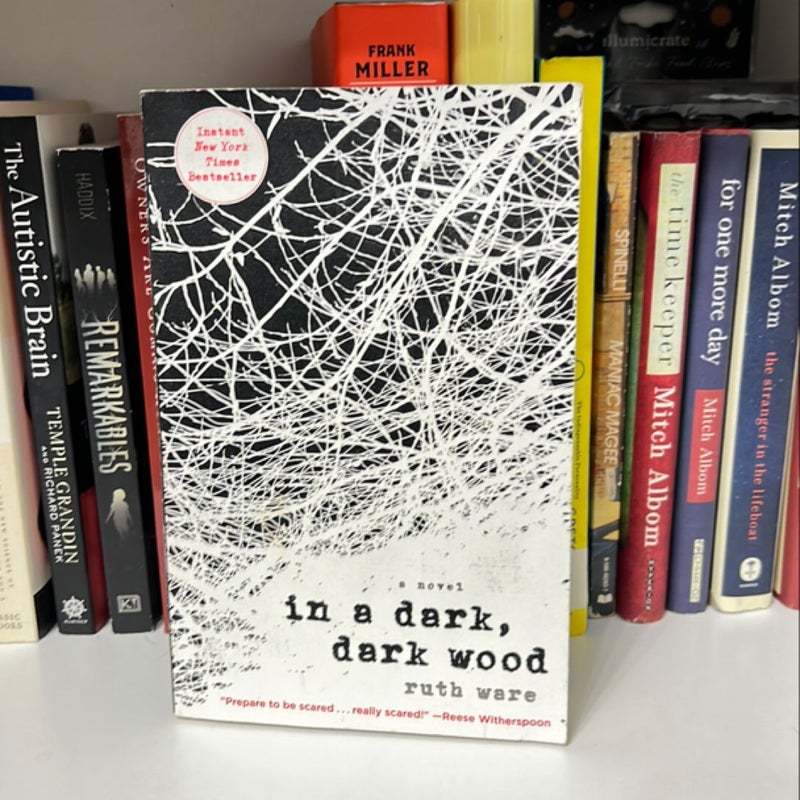 In a Dark, Dark Wood