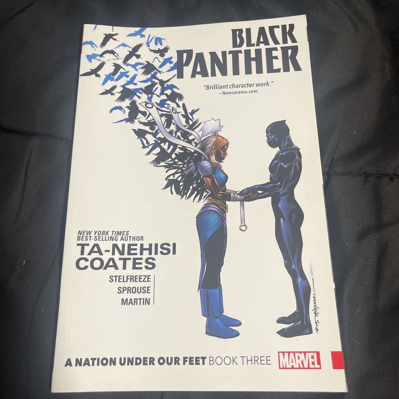 Black Panther: a Nation under Our Feet Book 3