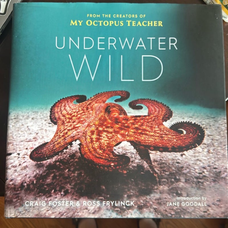 Underwater Wild