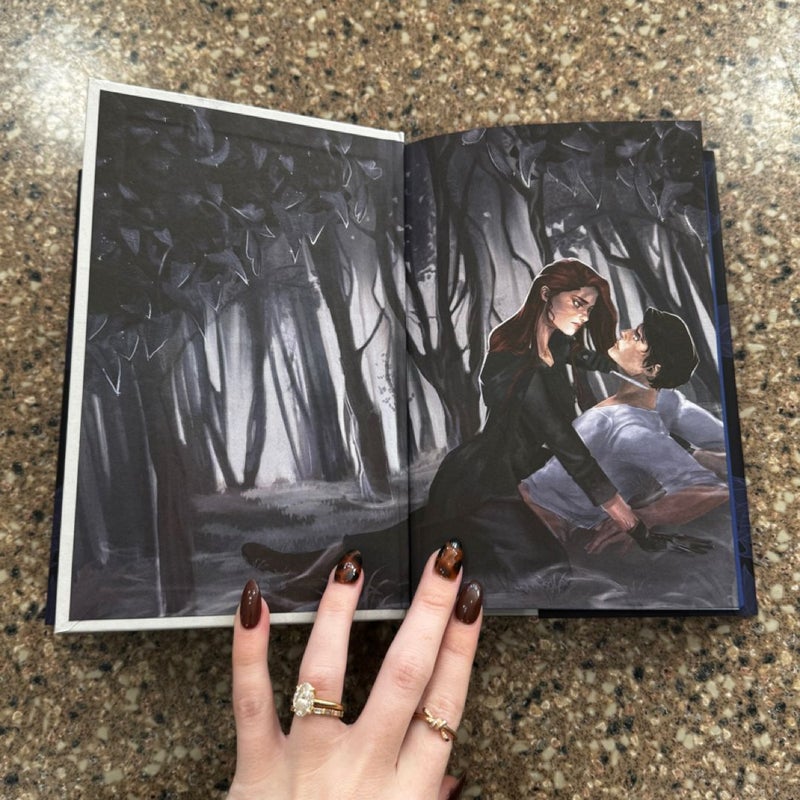 Owlcrate special edition To Kill a Shadow