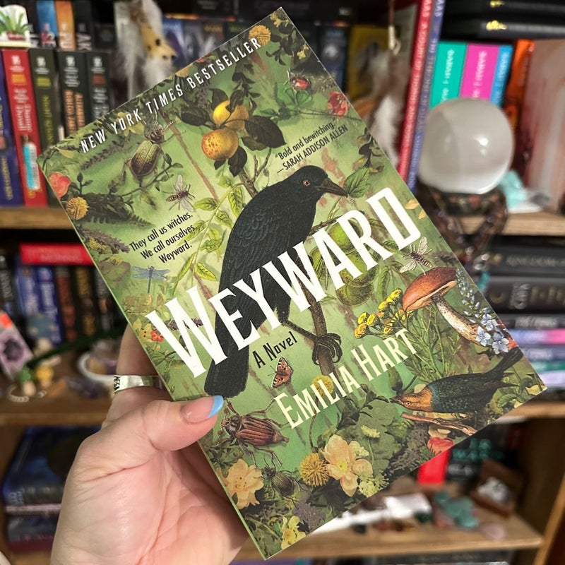 Weyward