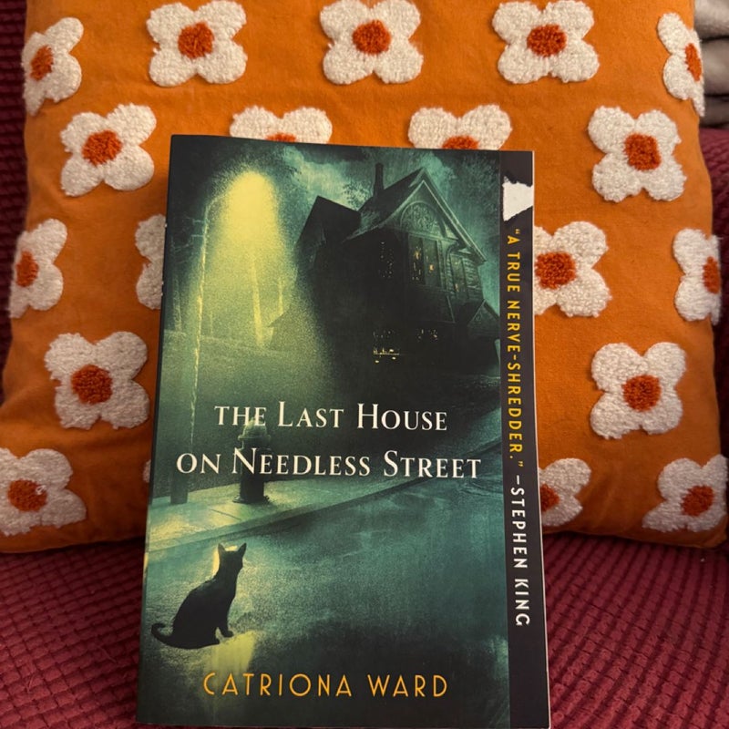 The Last House on Needless Street