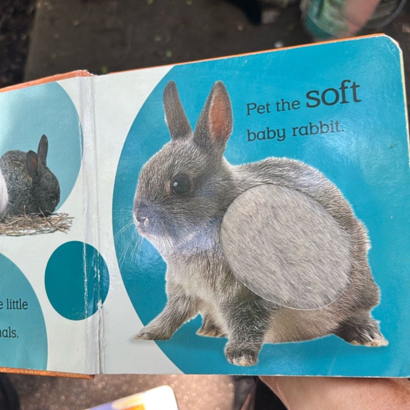 Touch and Feel Baby Animals