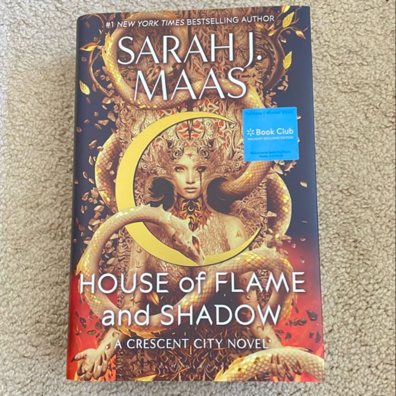 House of Flame and Shadow 