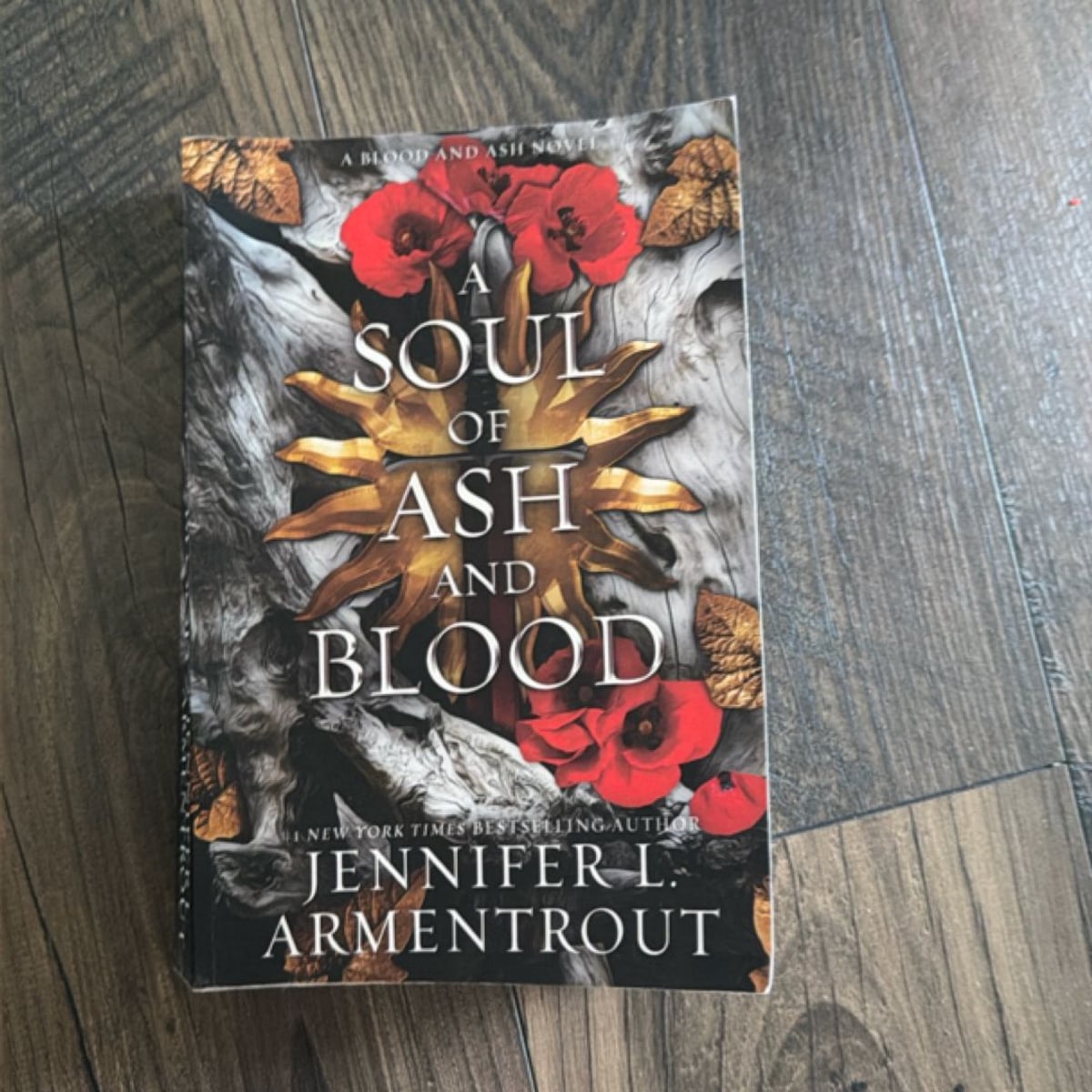 A Soul Of Ash And Blood